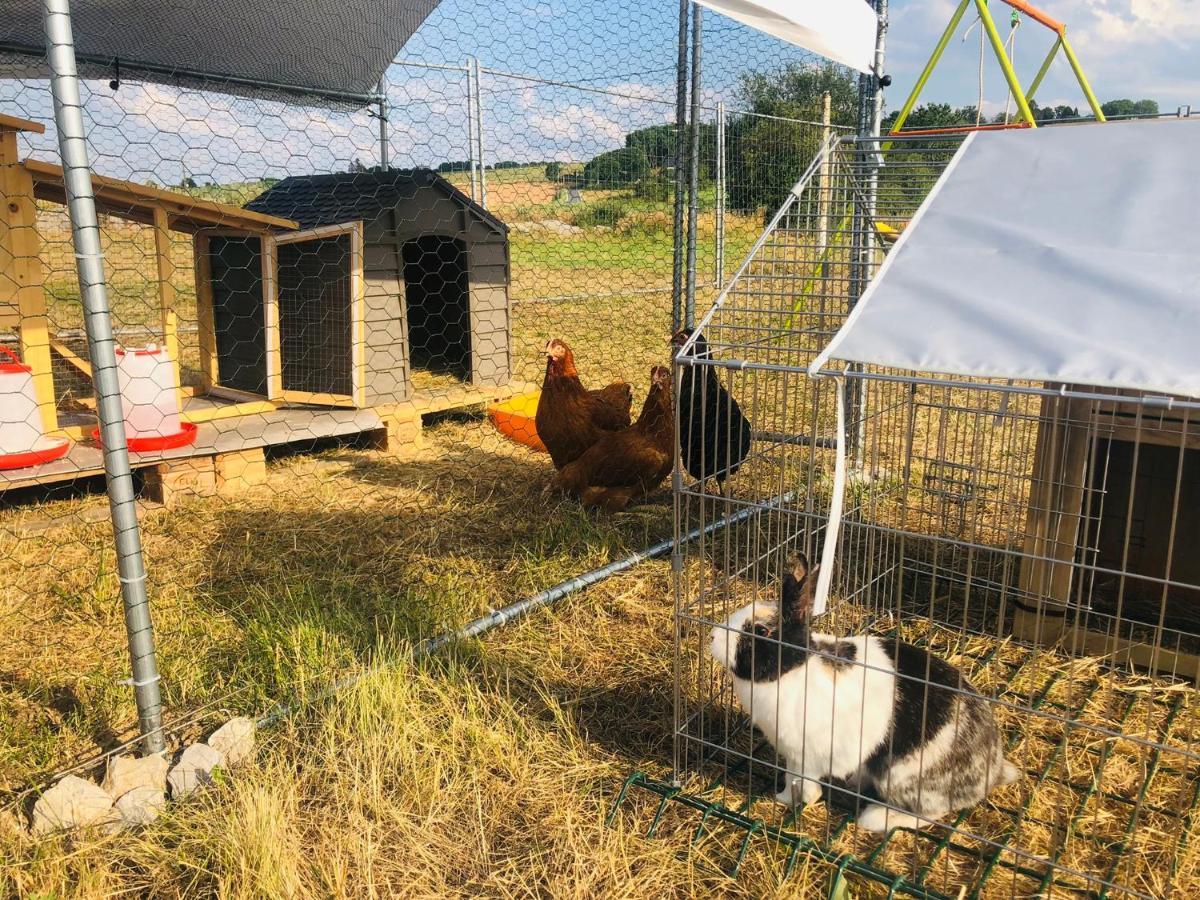 Le Gite De Golette Mettet Exterior foto